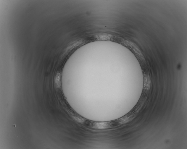 X0000097670717200802290946