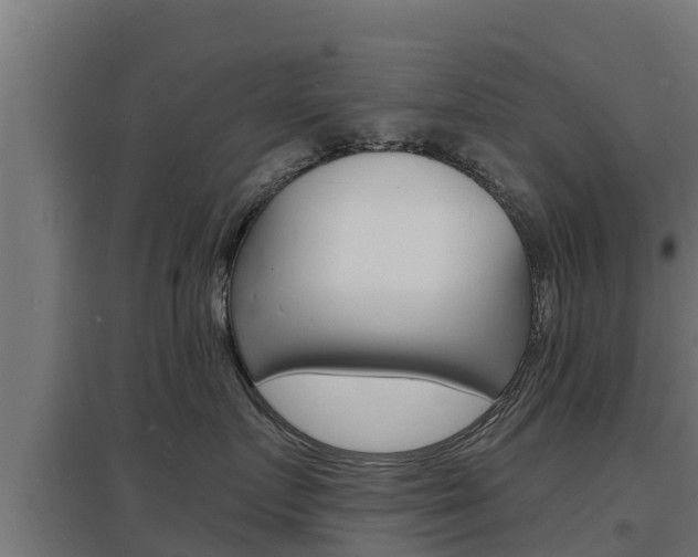 X0000097670719200802290946