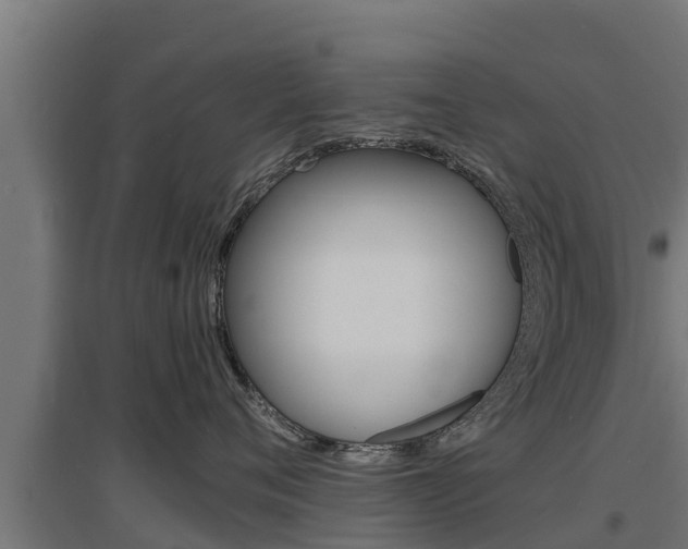 X0000097670720200802290946