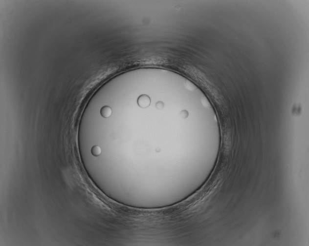 X0000097670721200802290945