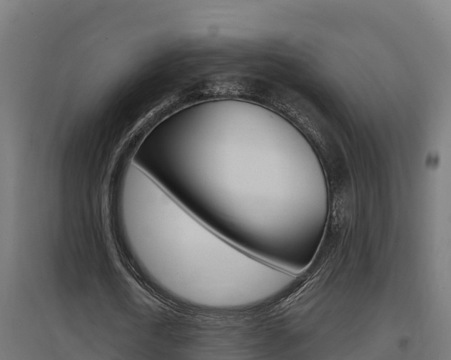 X0000097670722200802290945
