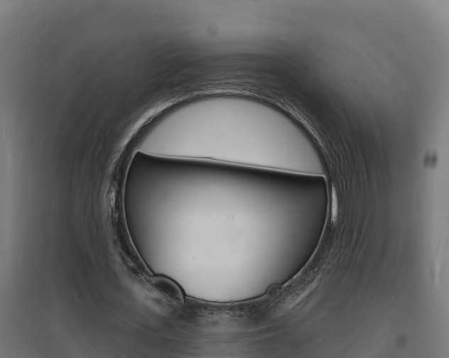 X0000097670723200802290945