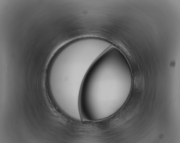 X0000097670724200802290945