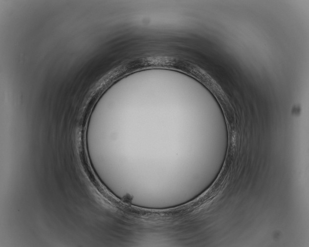 X0000097670725200802290945