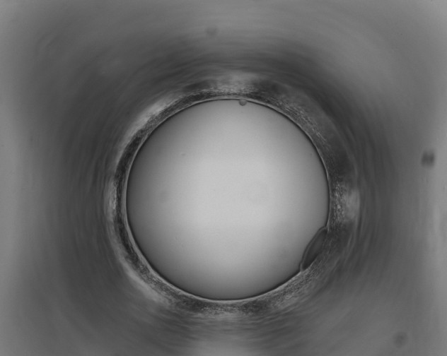 X0000097670726200802290945