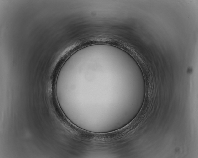 X0000097670727200802290945