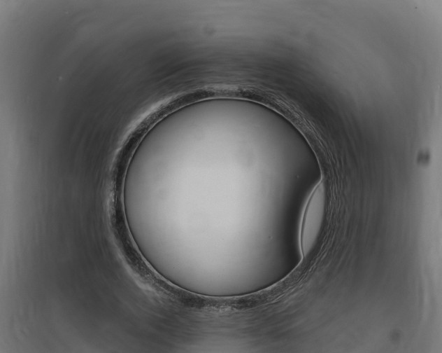 X0000097670728200802290945