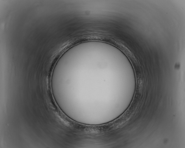 X0000097670729200802290945