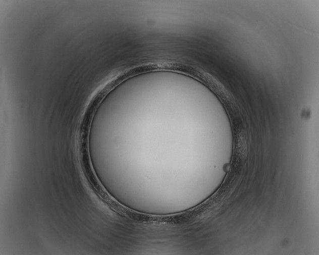 X0000097670730200802290945