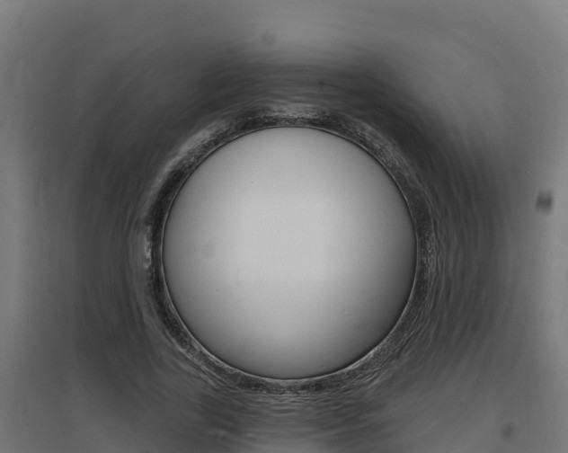 X0000097670731200802290945