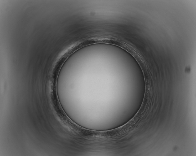 X0000097670732200802290945
