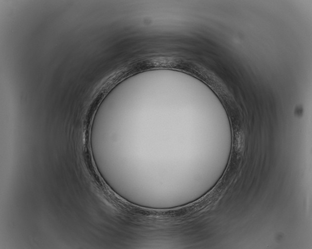 X0000097670733200802290945