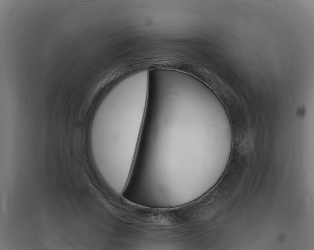 X0000097670735200802290945