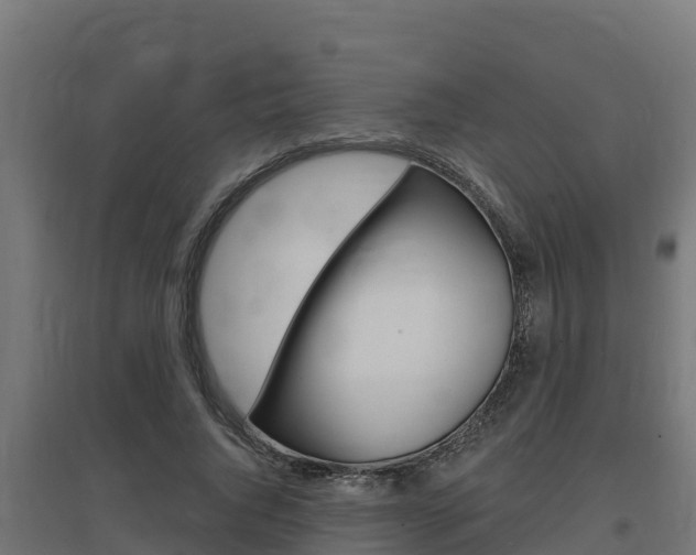 X0000097670736200802290945