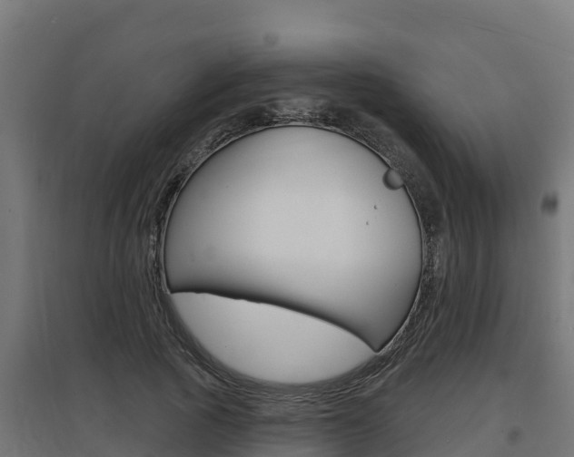 X0000097670737200802290945