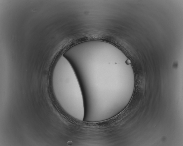 X0000097670738200802290945