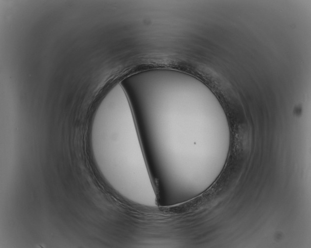 X0000097670739200802290945