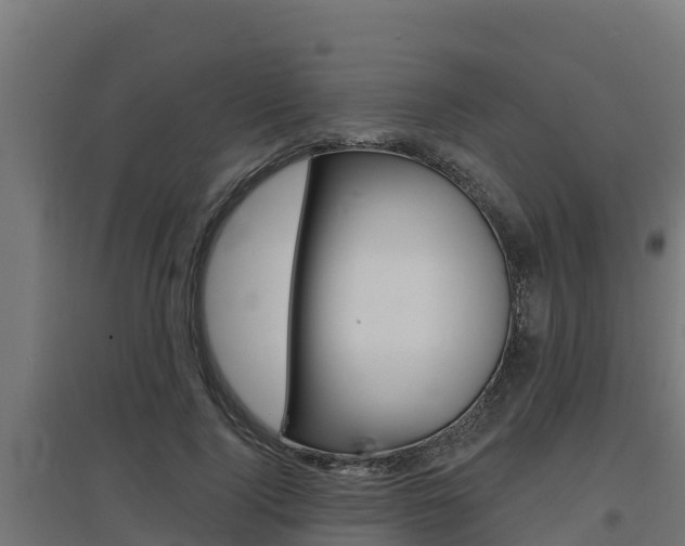 X0000097670740200802290945