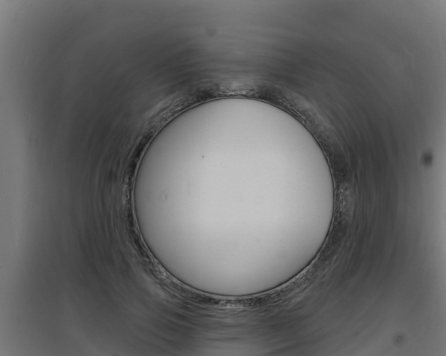 X0000097670741200802290945
