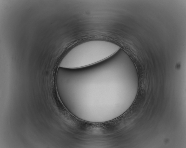 X0000097670743200802290945