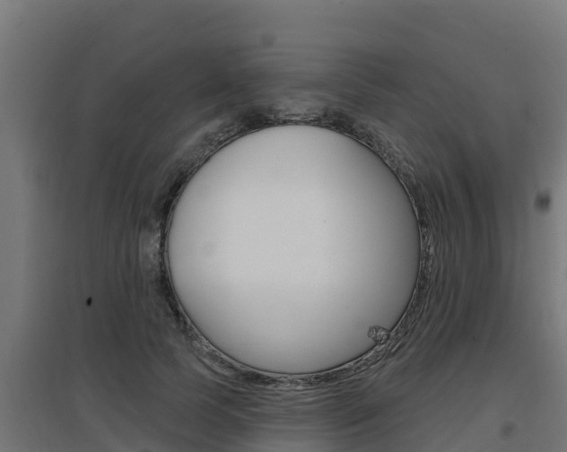 X0000097670745200802290945