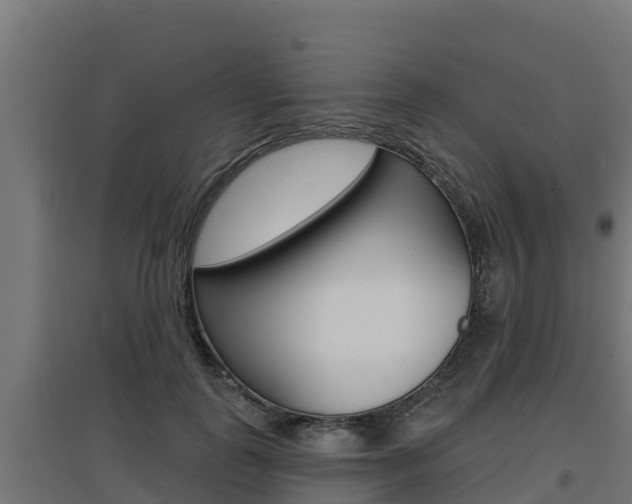 X0000097670747200802290945