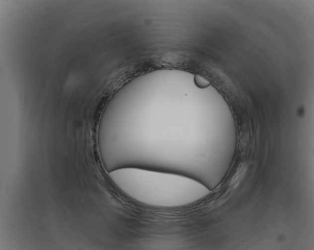 X0000097670749200802290945