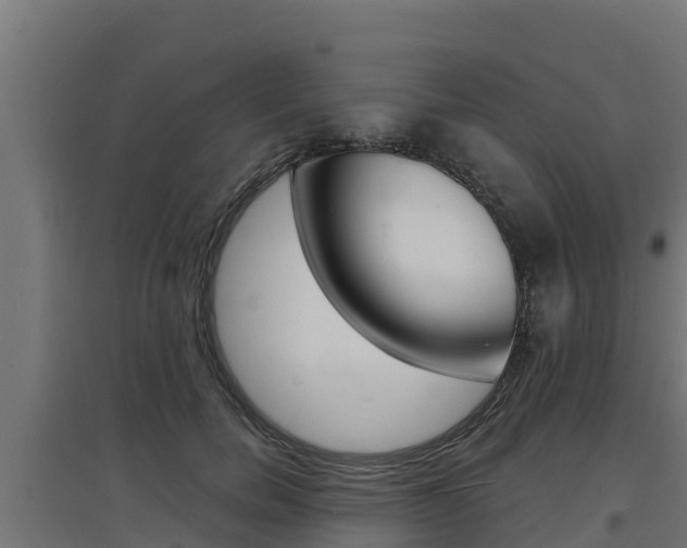 X0000097670750200802290945