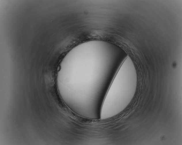X0000097670751200802290945