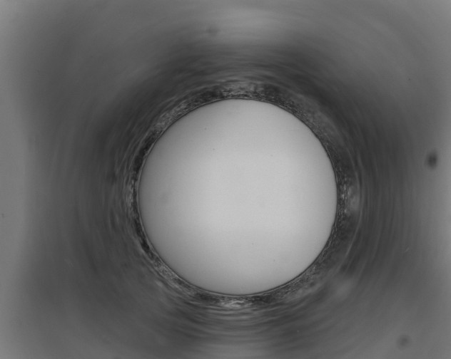 X0000097670753200802290945