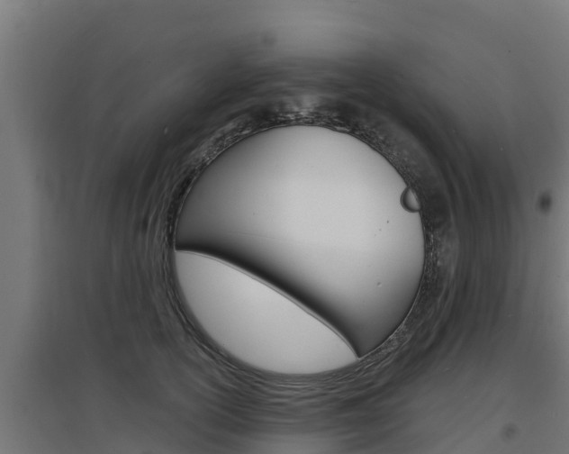 X0000097670754200802290945