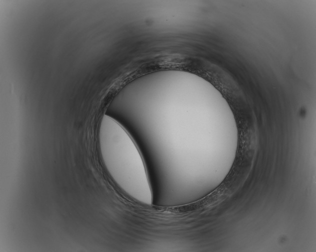X0000097670755200802290945