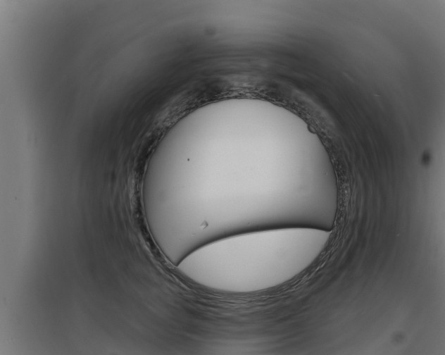 X0000097670757200802290945