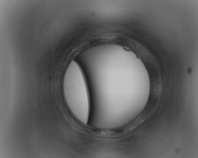 X0000097670758200802290945