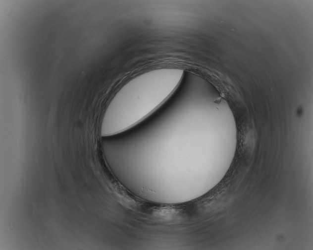 X0000097670759200802290945
