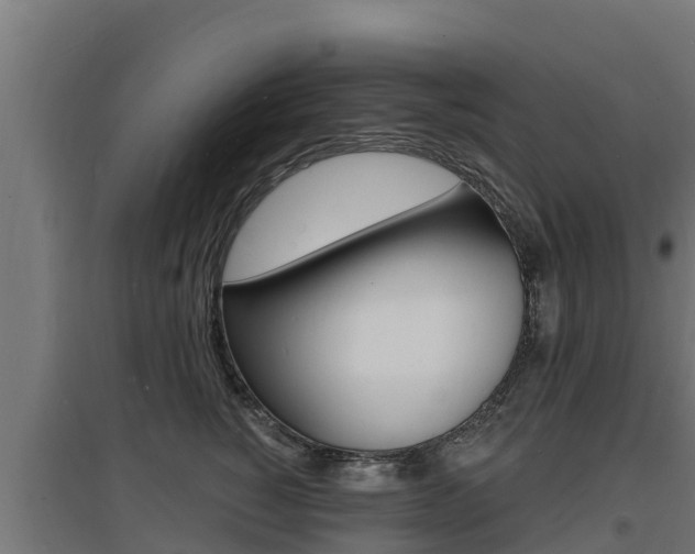 X0000097670760200802290945