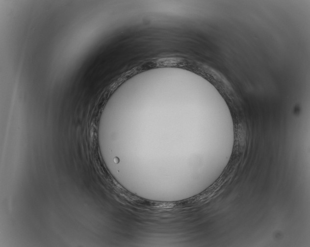 X0000097670761200802290945