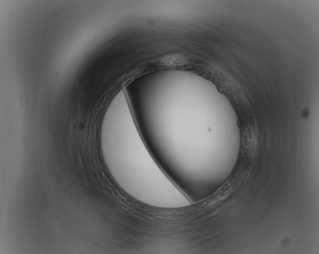 X0000097670762200802290945