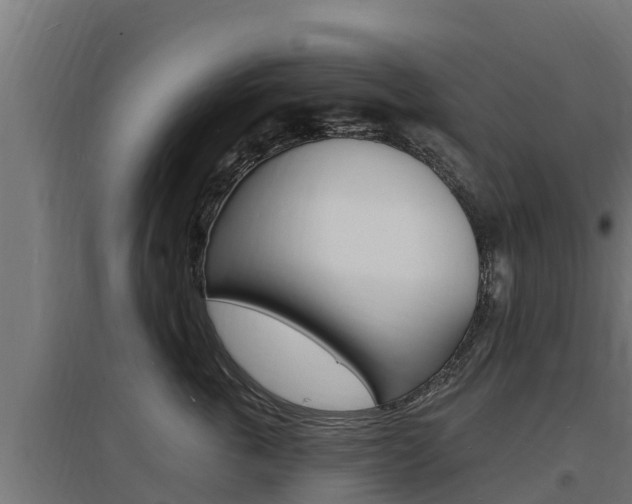 X0000097670763200802290946