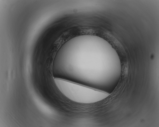 X0000097670764200802290946