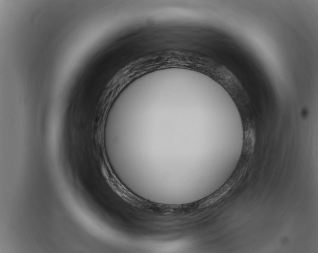 X0000097670765200802290946
