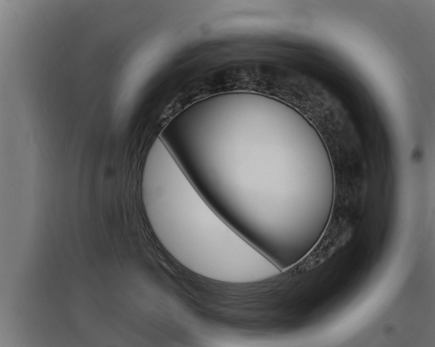 X0000097670766200802290946