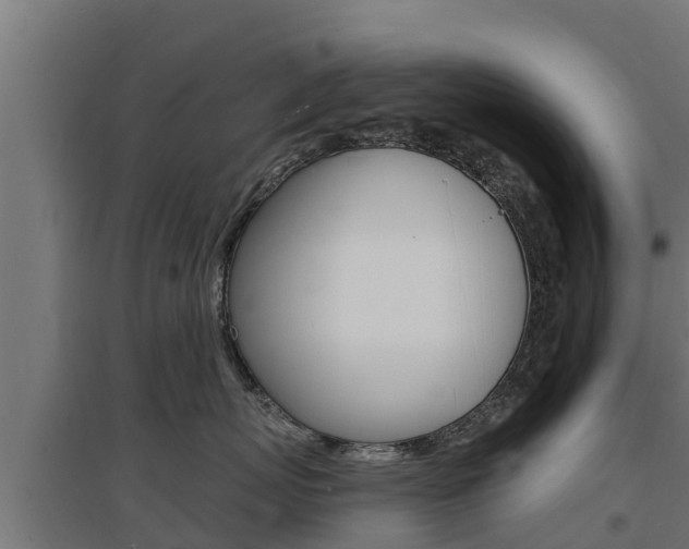 X0000097670767200802290946