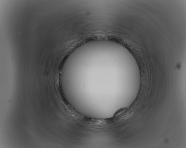 X0000097670768200802290946