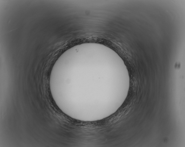 X0000097670769200802290945