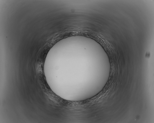 X0000097670770200802290945