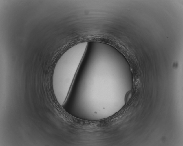 X0000097670772200802290945
