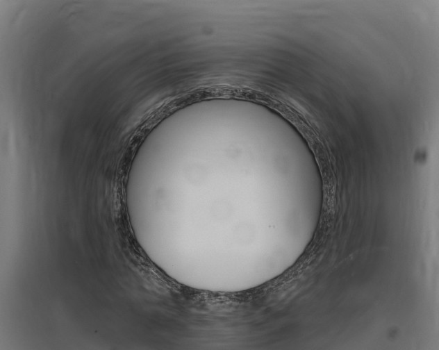 X0000097670774200802290945