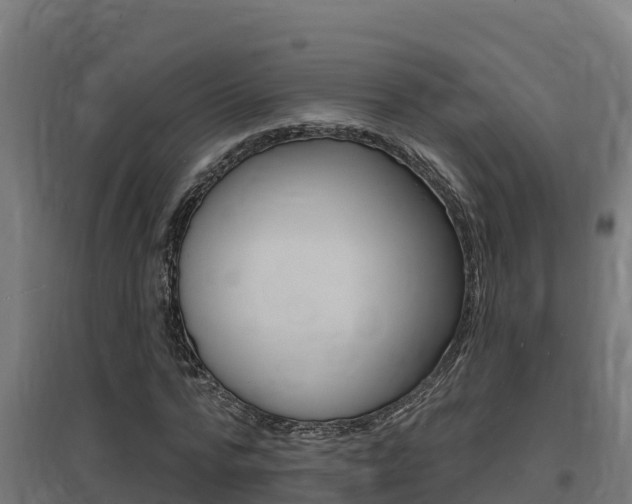 X0000097670776200802290945