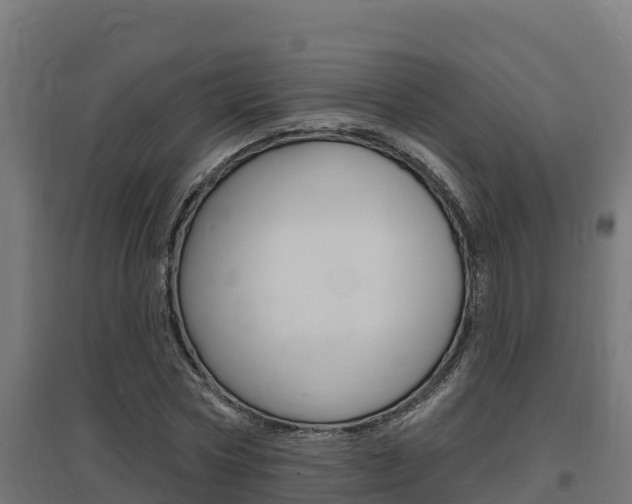 X0000097670778200802290945